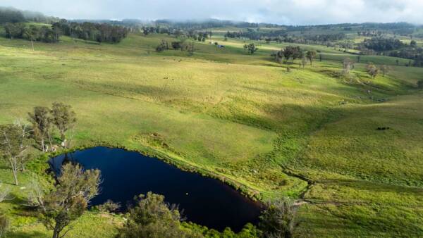 Killarney Vale improved granite grazing country for 400 steers | Video