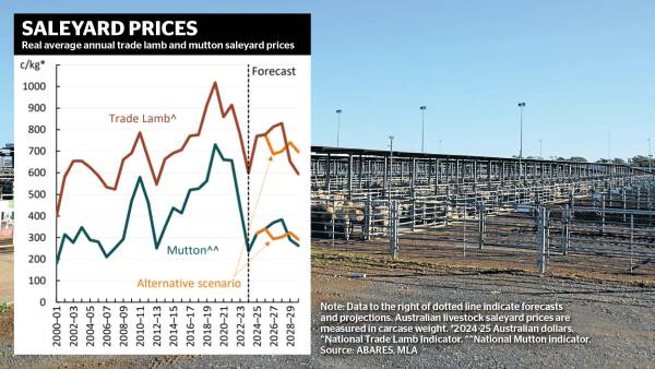 More price rises tipped for lamb market amid supply crunch, global demand