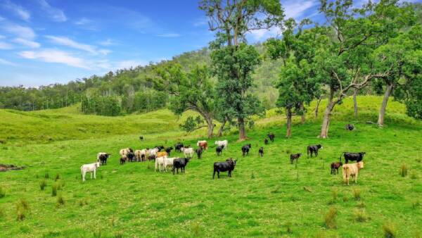 Productive eastern breeding country with near-new improvements | Video