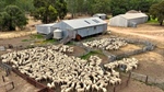 Prized Goulburn Valley farmland hits the sales market across eight properties