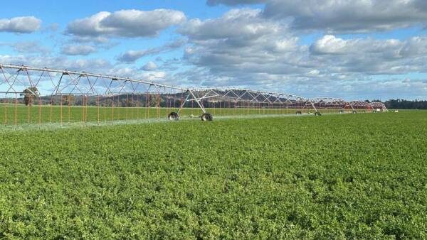 First-class irrigation, dryland cropping, grazing property on the market