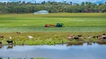 Productive irrigation farm Glenelle with frontage to Barambah Creek | Video