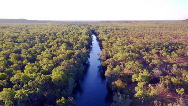 Major NT land clearing case dropped in out-of-court deal