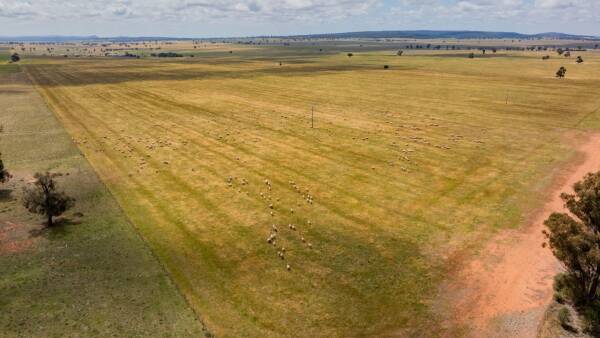 Strategically located, three property Riverina aggregation on the market