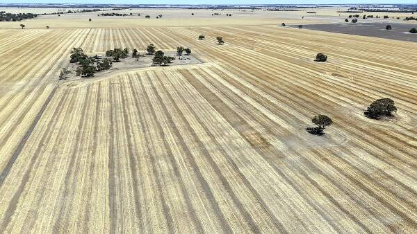 Second time lucky as quality Wimmera cropping portfolio up for sale again