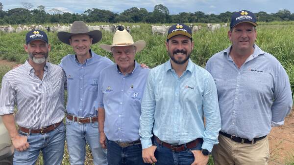 Stunning video showcases Brazilian beef operation on the edge of the Amazon