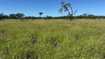 Exclusion-fenced property for breeding and fattening cattle or small stock