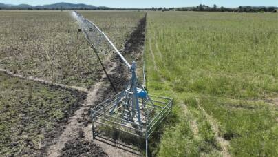 Outstanding Central Queensland cattle country backed by quality irrigation
