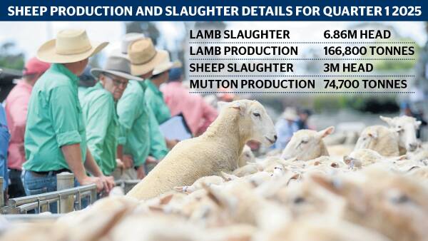 Winter sheepmeat supply crunch could serve up $9 lamb and $6 mutton prices