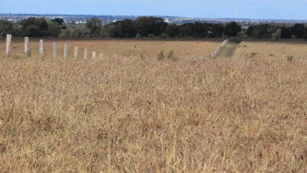 Handy-to-Roma country offered as four quality Maranoa lifestyle blocks