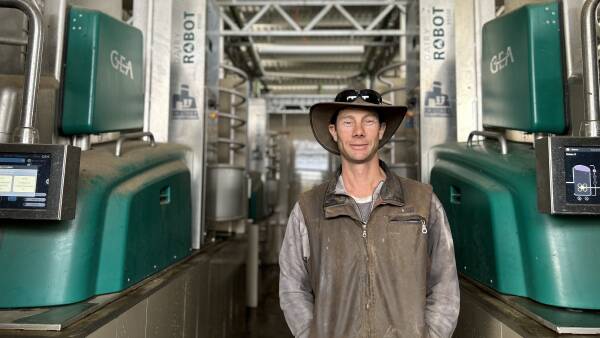 Revealed: the breakthrough allowing large-scale dairies to embrace robotics