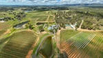 RidgeView Wines presented with vineyard, restaurant, luxury villas | Video