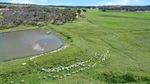 Rockleigh Station an exceptional grazing property for sheep and cattle