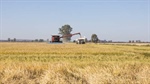 Redeveloped, laser-leveled Riverina irrigation farms on the market | Video