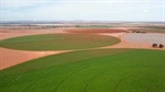 Major irrigated Lachlan Valley potato, farming portfolio on the market