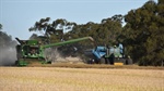 Half a billion dollar Pakistan canola market reopens after fumigation deal