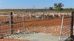 Massive land, water and fencing development program underscores Cable Downs