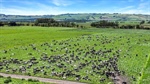 South Gippsland dairy powerhouse hits the market available walk-in walk-out