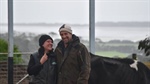 Shelter provides dairy cattle ultimate room with a view