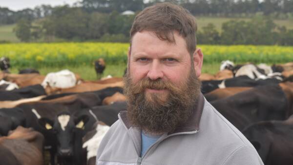 Milk production continues to decline in Victoria's west as drought hits