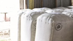 Australian Wool Innovation takes first steps towards 2025 board election