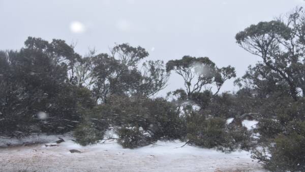 Freezing temperatures as early snow, frosts hit among rain band