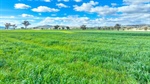 Well-balanced grazing and cropping country heads to auction on July 17
