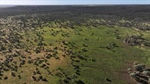 Tableland country and fertile creek flats deliver quality grazing | Video