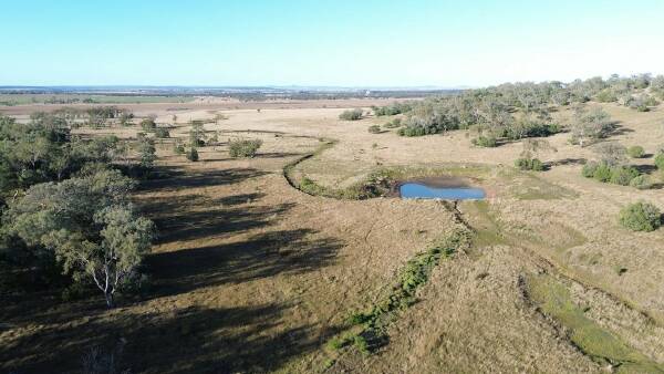 Ballyea hits $4008/acre, selling for well above market expectations | Video