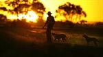 Federal Government's super tax now super serious for Australian farmers