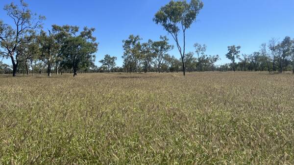 Central west property with tourism operation now listed for $7.2 million