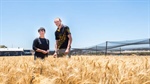 How dairy waste and duckweed is being transformed into sustainable biofuels