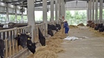 Green arrow or red flag | Are we dropping our biosecurity guard?
