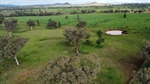 Crescent Hills 618 acres of quality grazing and cropping country | Photos