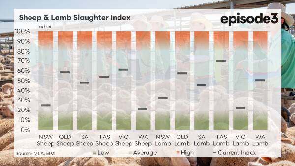 Mutton takes up the slack as lamb slaughter indices decline significantly