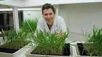 Alarm bells as triple resistant barley fungal disease spreads to the west