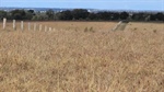 Maranoa country in four quality lifestyle blocks close to Roma for $1.9m