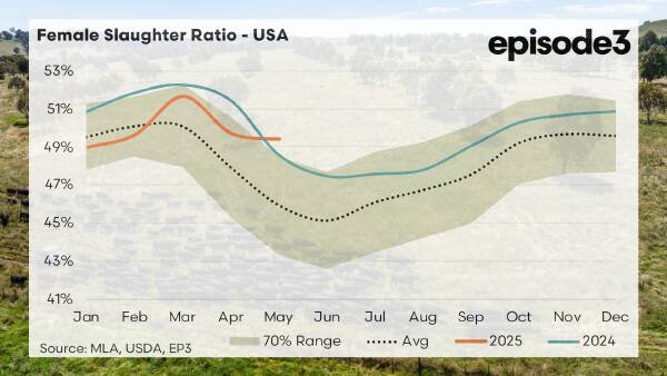 What the continuing US herd liquidation means for Aussie beef producers