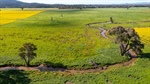 Highly productive Cowra country on the market for $4.1 million | Photos