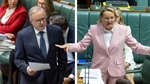 Super tax hot topic in parliament, Labor douses hopes of farmer carve-out