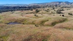Productive Riverina grazing property Paddles heads to auction | Video