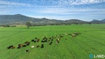 Highly regarded 1867 acre Currabubula grazing property sold after auction