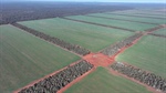 Harolds: highly efficient grain growing operation hits the market | Photos
