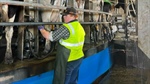 'The financial strain is unbearable': dairy teen pens letter to federal MP