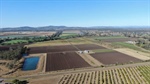 Productive Brisbane Valley irrigation farm with organic status for sale