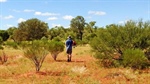 Federal scrutiny of massive Northern Territory cotton expansion plans