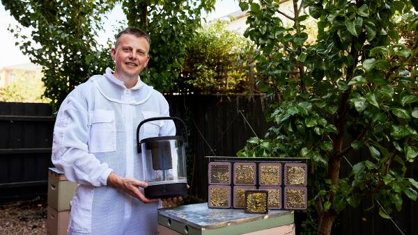 'Nespresso machine for honey': could this 'bee' the next best kitchen device?