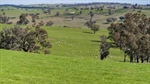 Highly regarded mixed farming enterprise Kolonga hits the market | Photos