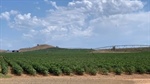 Yarrenbool with massive 3640 megalitres of Namoi River water entitlements