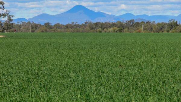 Surge in farm listings sparks renewed interest in rural property market